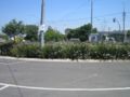 IMG 5107 400 300.jpg
