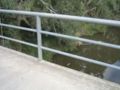 IMG 5877 400 300.jpg