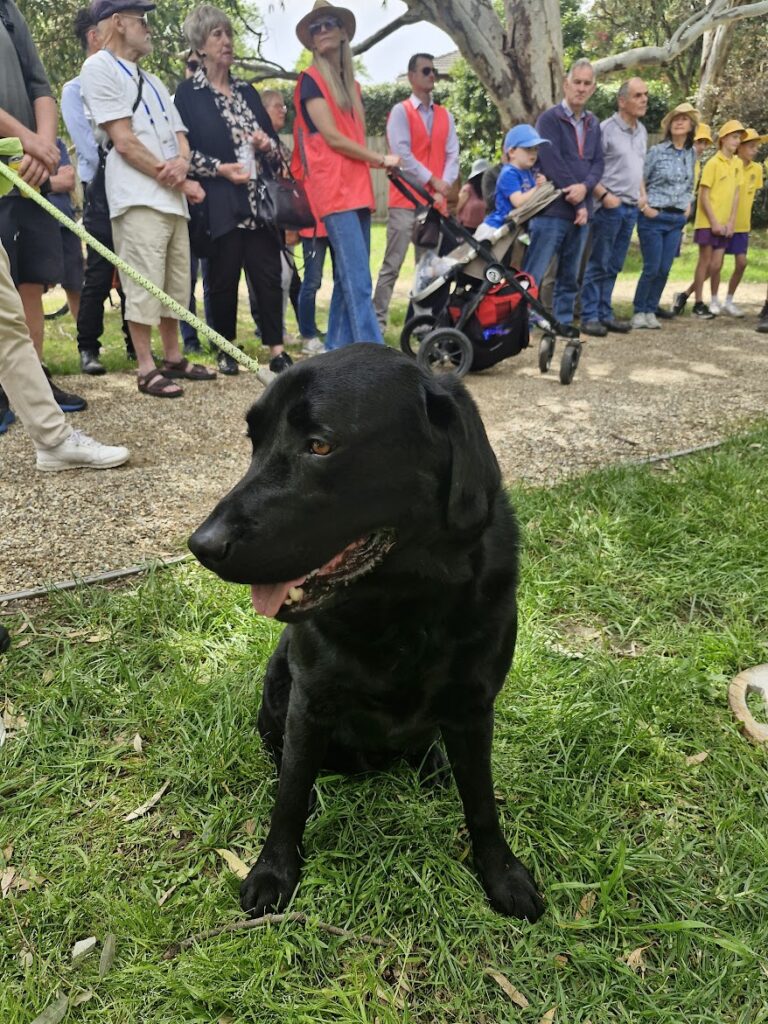 Boroondara Greenways launch